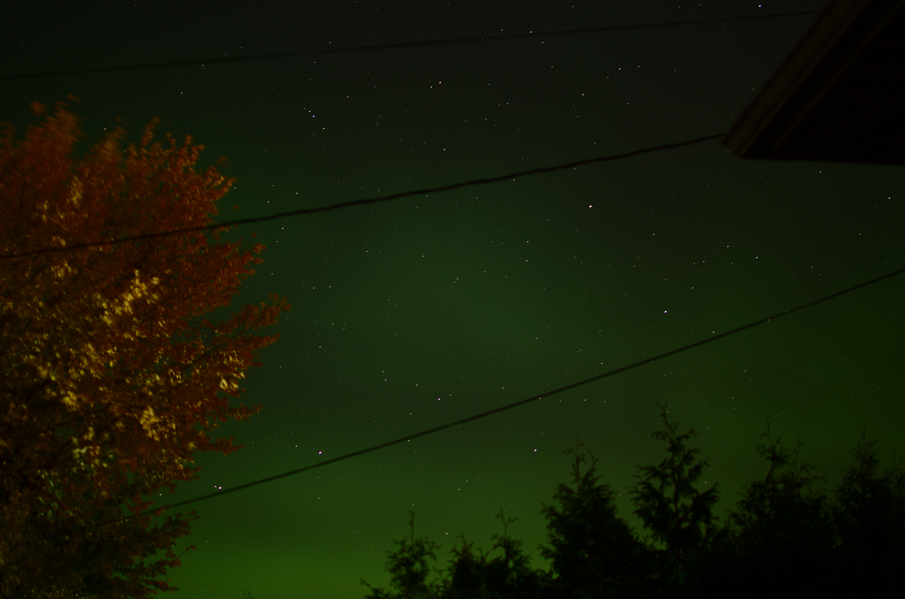 Some northern lights pics from last night - Page 1